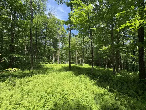 7601 Vt Route 105 E, Jay, VT 05859