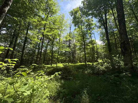7601 Vt Route 105 E, Jay, VT 05859 photo 24