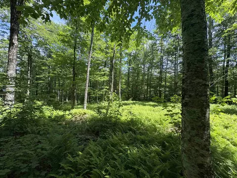 7601 Vt Route 105 E, Jay, VT 05859 photo 5