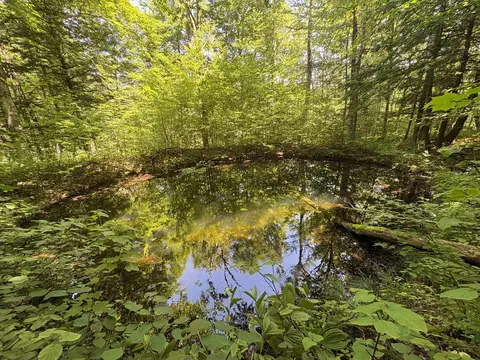 7601 Vt Route 105 E, Jay, VT 05859 photo 7