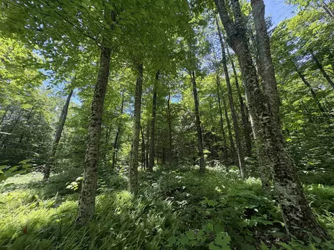 7601 Vt Route 105 E, Jay, VT 05859 photo 4