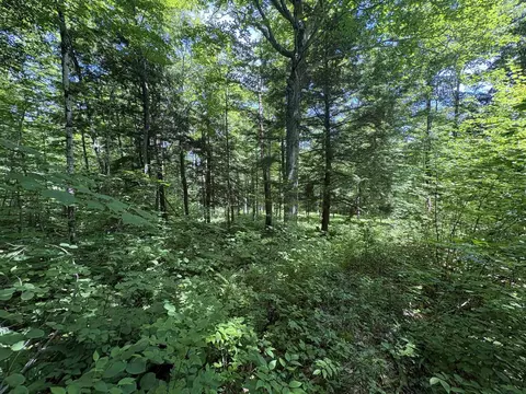 7601 Vt Route 105 E, Jay, VT 05859 photo 27