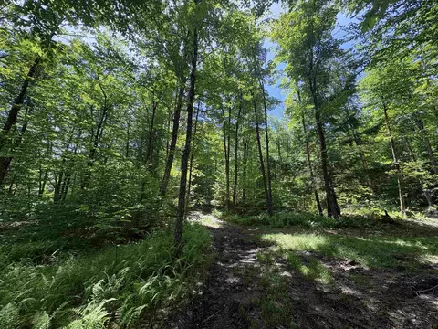 7601 Vt Route 105 E, Jay, VT 05859 photo 10