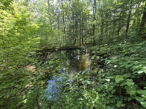 7601 Vt Route 105 E, Jay, VT 05859 photo 8