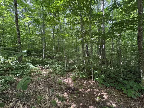 7601 Vt Route 105 E, Jay, VT 05859 photo 39