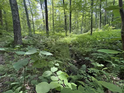 7601 Vt Route 105 E, Jay, VT 05859 photo 30