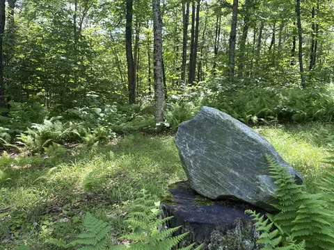 7601 Vt Route 105 E, Jay, VT 05859 photo 22