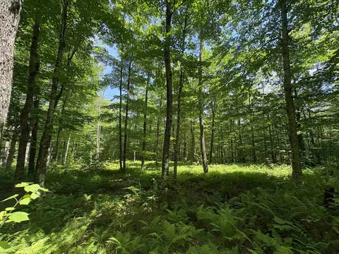7601 Vt Route 105 E, Jay, VT 05859 photo 6