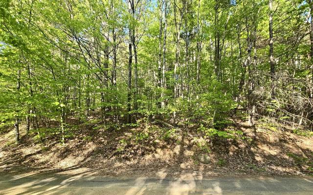 00 Isaac Fox Dr, Campton, NH 03223