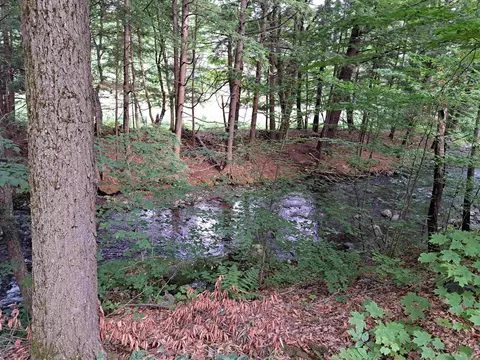 View/Area - 23 Chase Hill Rd, Cornish, NH 03745 photo 1 of 1