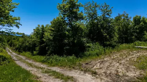 0 Mitchell Rd #4A, Concord, VT 05824 photo 6