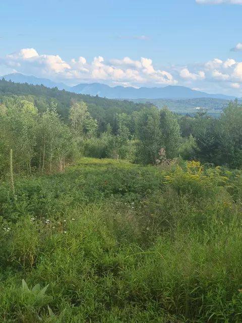 0 Mitchell Rd #4A, Concord, VT 05824 photo 13