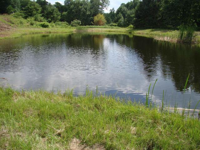 764 Thrall Rd, Poultney, VT 05764