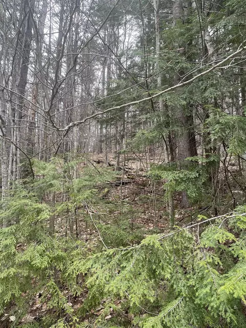 10 2 David Thompson Dr # -4, Campton, NH 03223