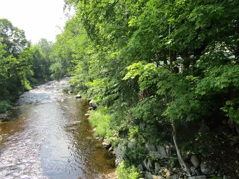1950 N Main St, Londonderry, VT 05148