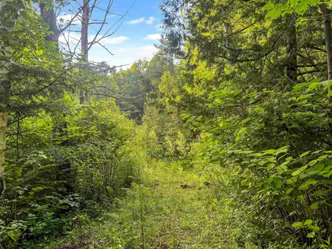 91 Dam Rd, Chittenden, VT 05701