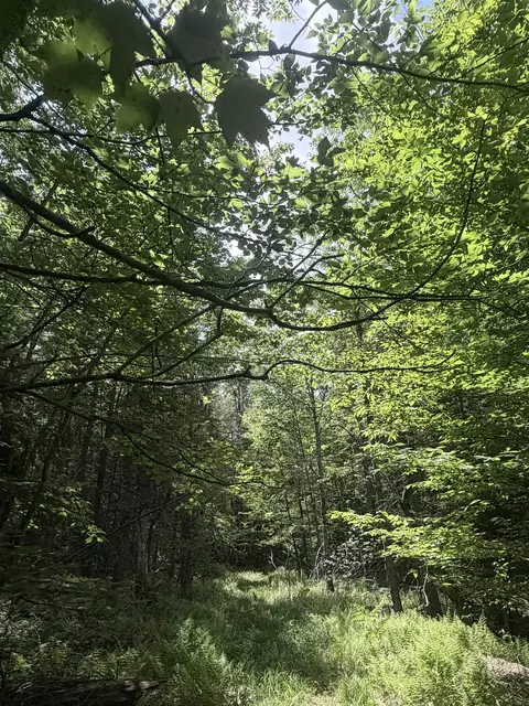Whitcher Road, Newport, NH 03773
