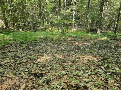 234 Old Cheshire Tpke, Walpole, NH 03608