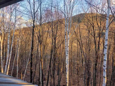 Exterior - 36 Easterly Rd #2, Lincoln, NH 03251 photo 3 of 5