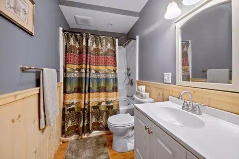 Bath - 482 E Dover Rd, Wardsboro, VT 05355 photo 4 of 4