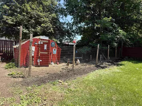 Exterior - 53 Commonwealth Ave, Hyde Park, VT 05655 photo 10 of 10