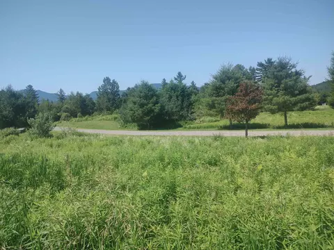 0 Plot Rd #3, Johnson, VT 05656 photo 5
