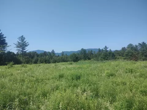 0 Plot Rd #3, Johnson, VT 05656 photo 2