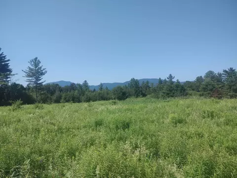 0 Plot Rd #3, Johnson, VT 05656 photo 4