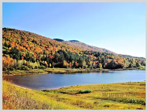 View/Area - 206 River Rd, Groton, NH 03266 photo 12 of 13