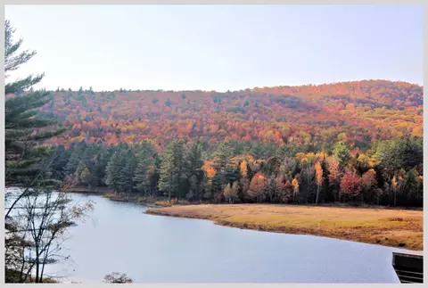 View/Area - 206 River Rd, Groton, NH 03266 photo 13 of 13