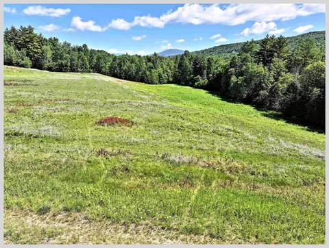 Other - 206 River Rd, Groton, NH 03266 photo 13 of 16