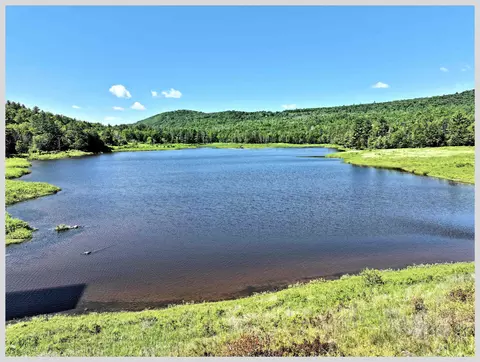 View/Area - 206 River Rd, Groton, NH 03266 photo 6 of 13