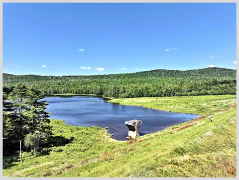 View/Area - 206 River Rd, Groton, NH 03266 photo 5 of 13