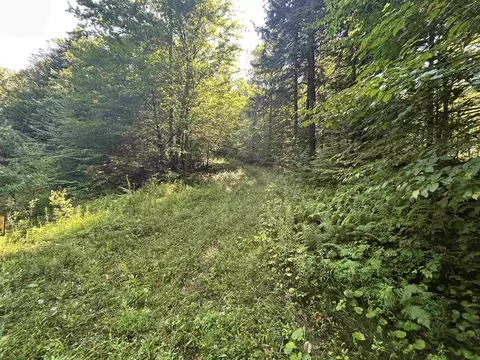 0 Rose Ln, Londonderry, VT 05148