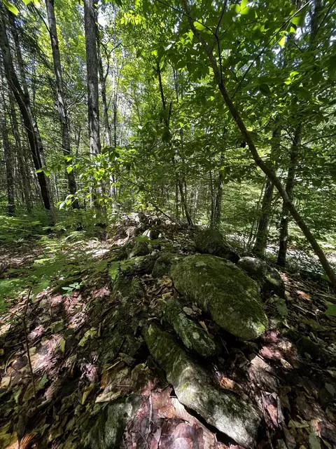 00 Leclair Rd, Concord, VT 05824 photo 8