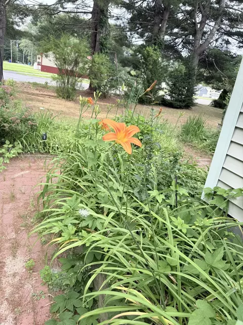 11 Willow St, Exeter, NH 03833 photo 19