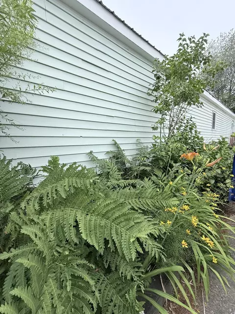 11 Willow St, Exeter, NH 03833 photo 25
