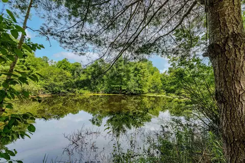 View/Area - 87 Porter Rd, Bath, NH 03740 photo 1 of 4