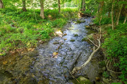 View/Area - 253 Perkins Rd, Rupert, VT 05776 photo 3 of 4