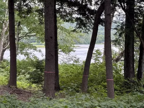 340 Tyanoga Lot X Rd, Whitingham, VT 05361