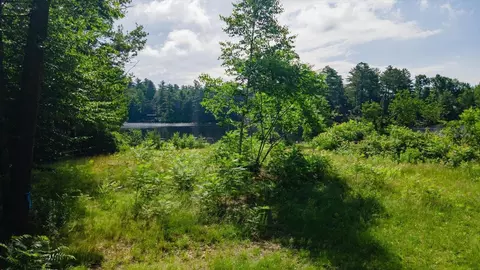 52 Penny Ln, Stoddard, NH 03464 photo 22
