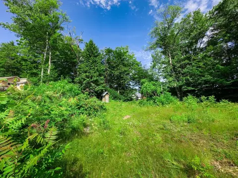 52 Penny Ln, Stoddard, NH 03464 photo 28