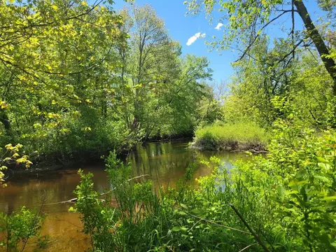00 Eastern District Rd, Danbury, NH 03230 photo 4