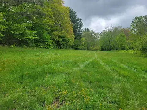 00 Eastern District Rd, Danbury, NH 03230 photo 9