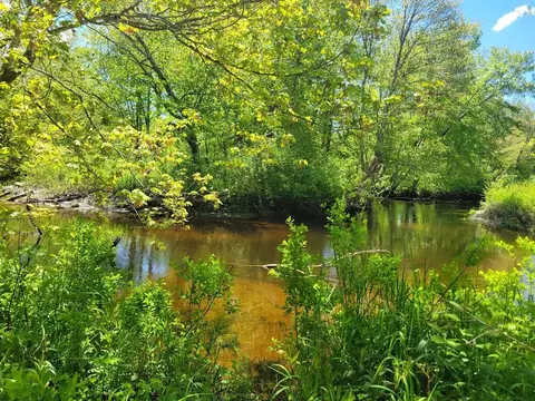 00 Eastern District Rd, Danbury, NH 03230 photo 3