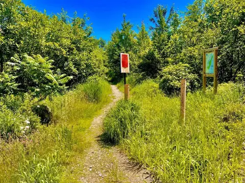 Other - 60 Brookside Ave, Albany, NH 03818 photo 6 of 6