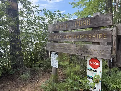 Other - 53 White Pond Rd, Ossipee, NH 03864 photo 5 of 6
