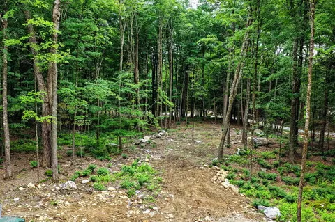 0 Cedar Ln #LOT 1, Mendon, VT 05701 photo 4
