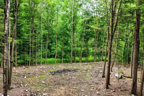 0 Cedar Ln #LOT 4, Mendon, VT 05701 photo 4