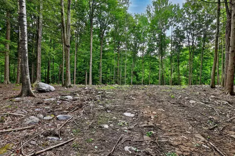 0 Cedar Ln #LOT 4, Mendon, VT 05701 photo 2